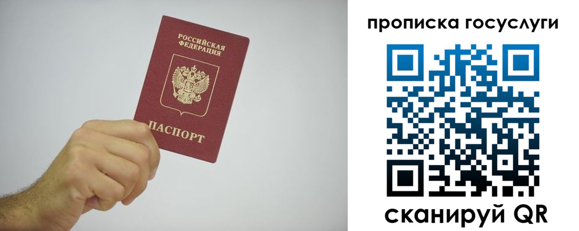 прописка законно в Светлограде